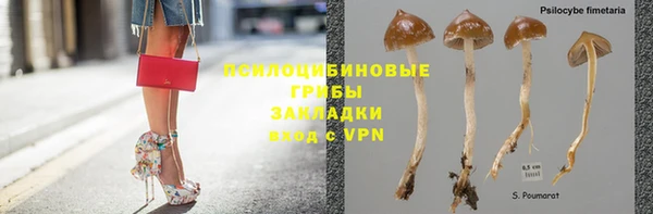 тгк Тихвин
