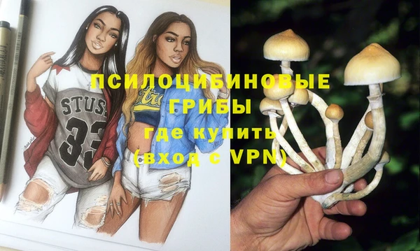 спайс Горнозаводск